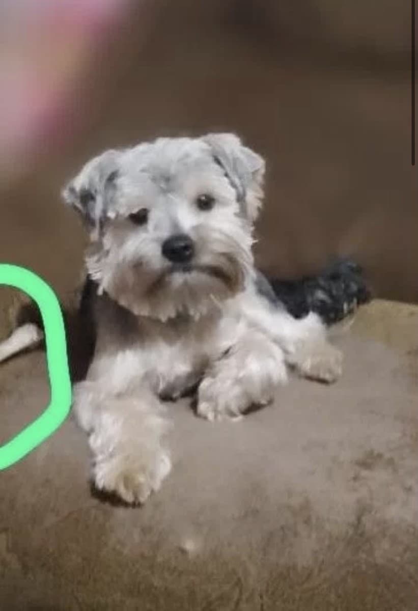 Зевс медиа 2