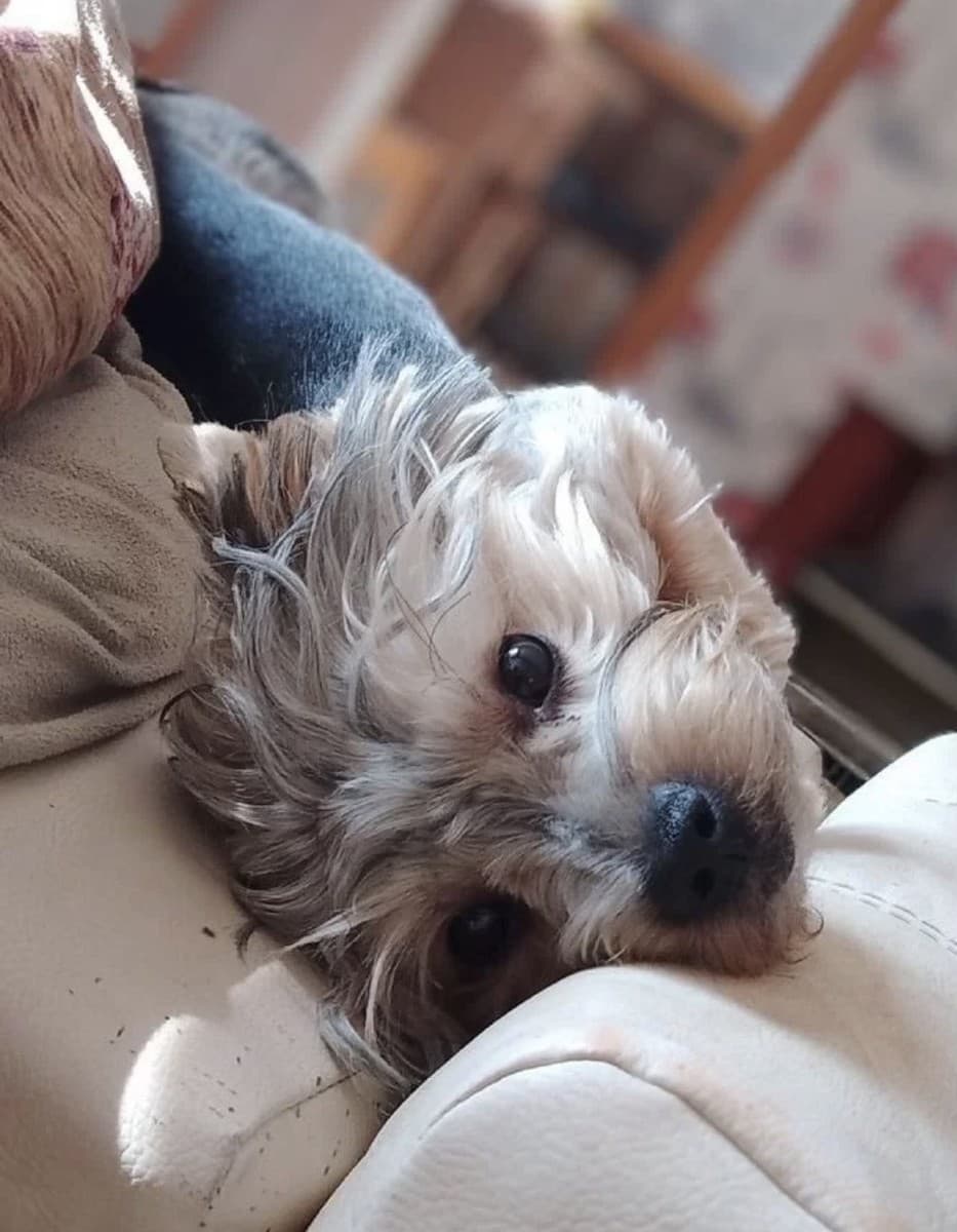 Зевс медиа 3