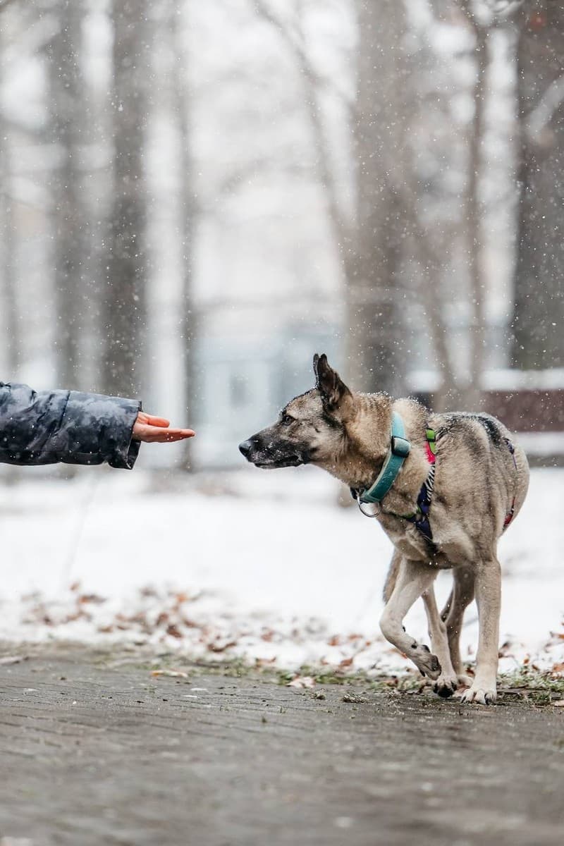 Грей медиа 5