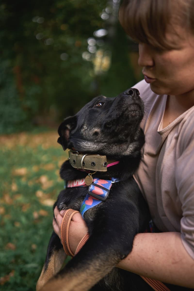 Рута медиа 4