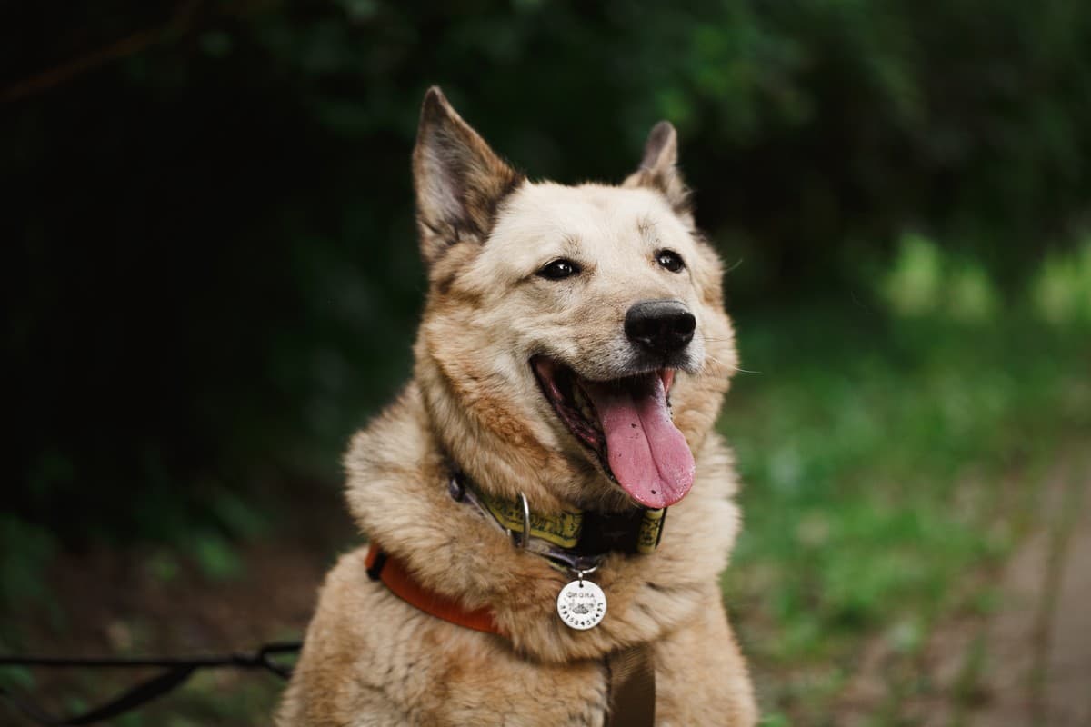 Фиона медиа 10