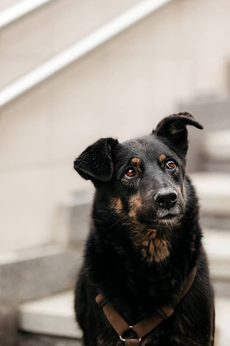 Берта медиа 8