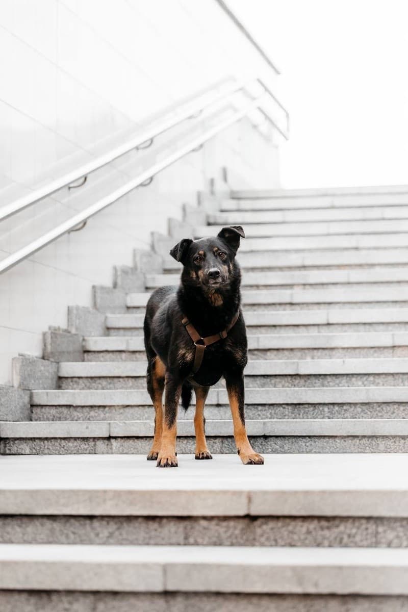 Берта медиа 7