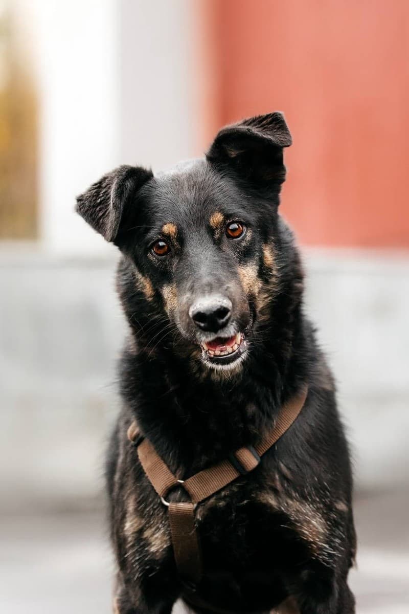 Берта медиа 5