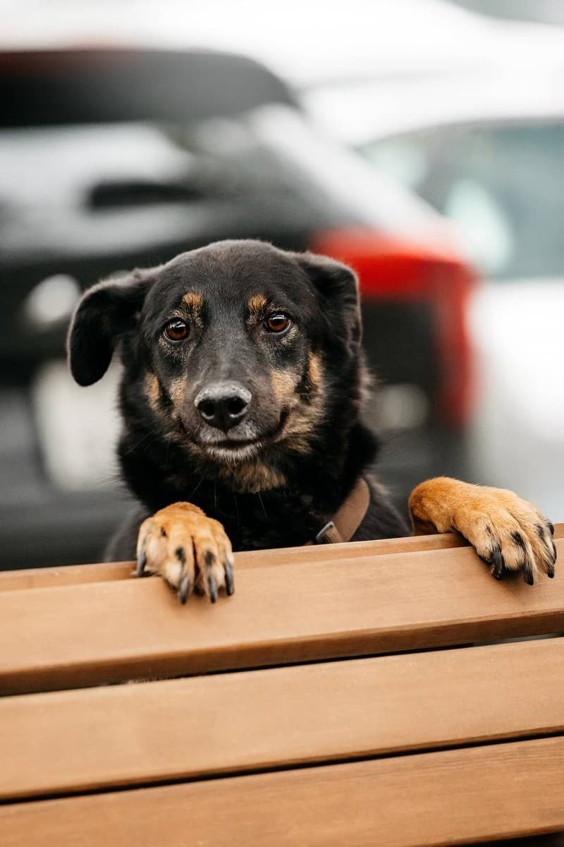 Берта медиа 6