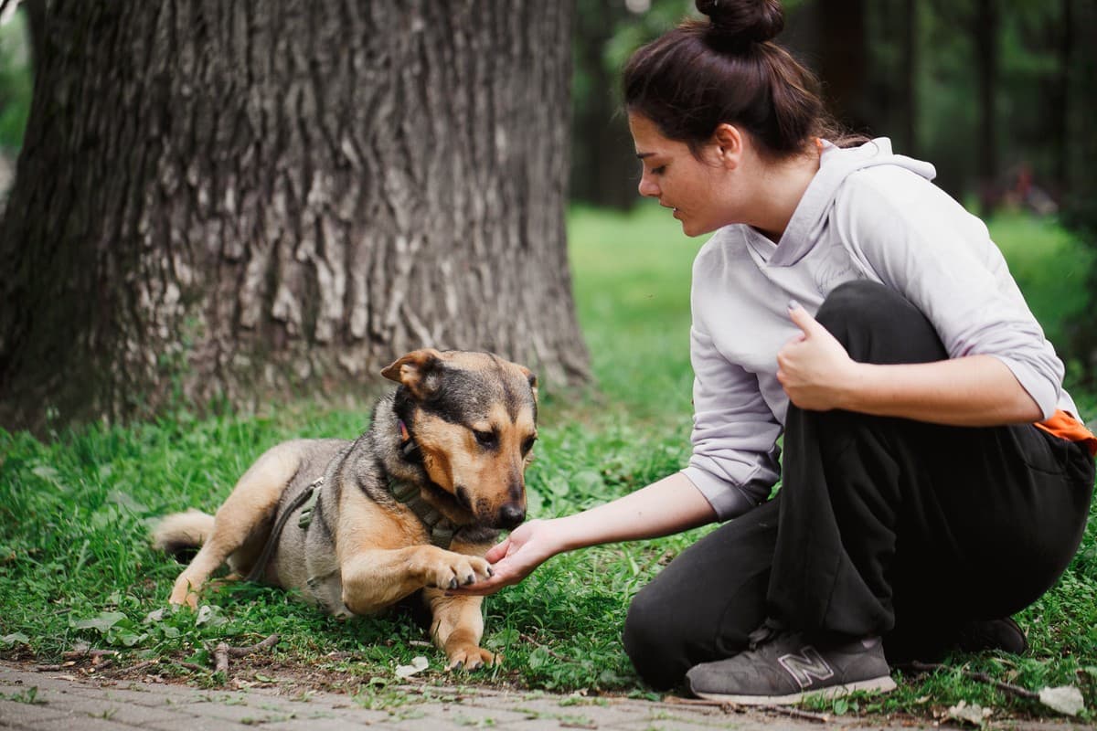 Атос медиа 7