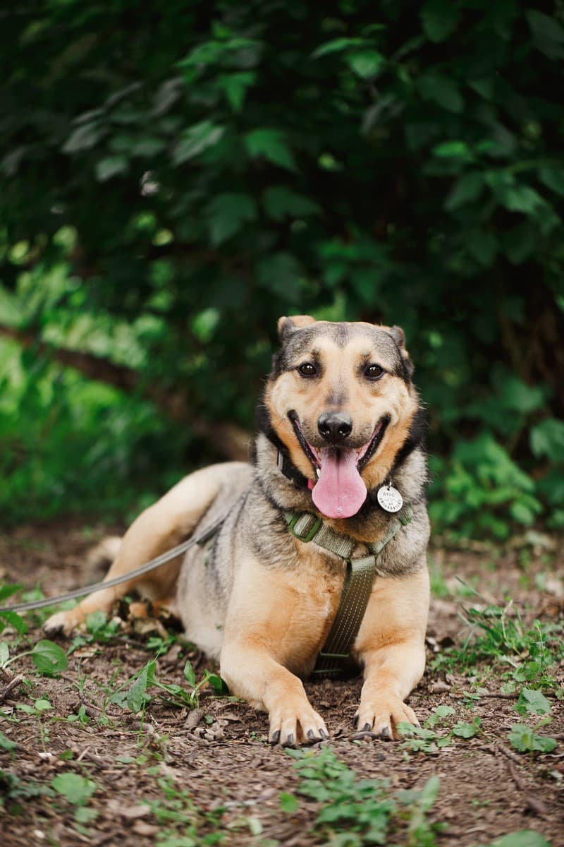 Атос медиа 9