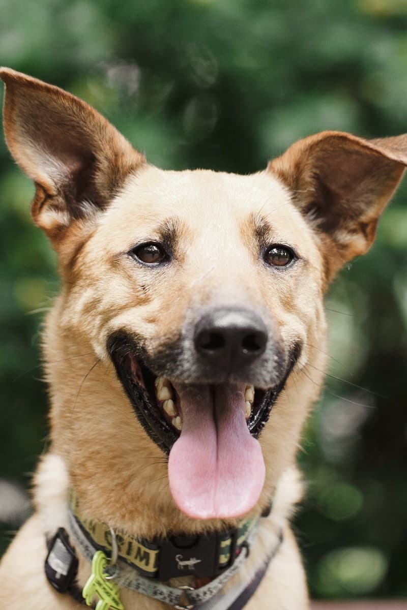 Арамис медиа 5