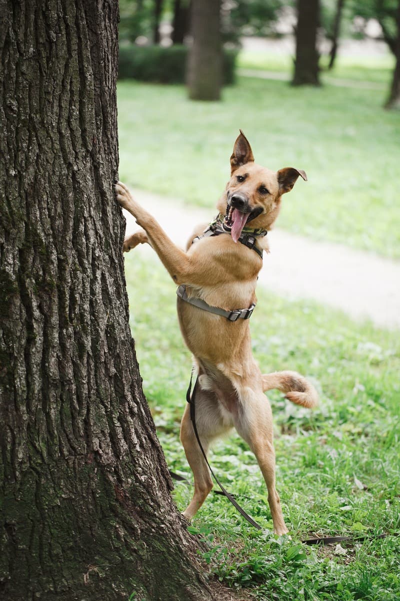 Арамис медиа 7