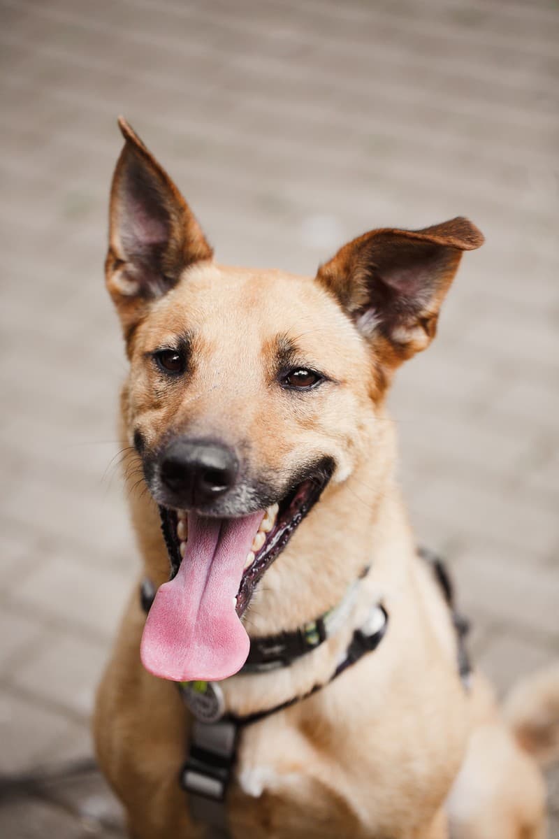 Арамис медиа 3