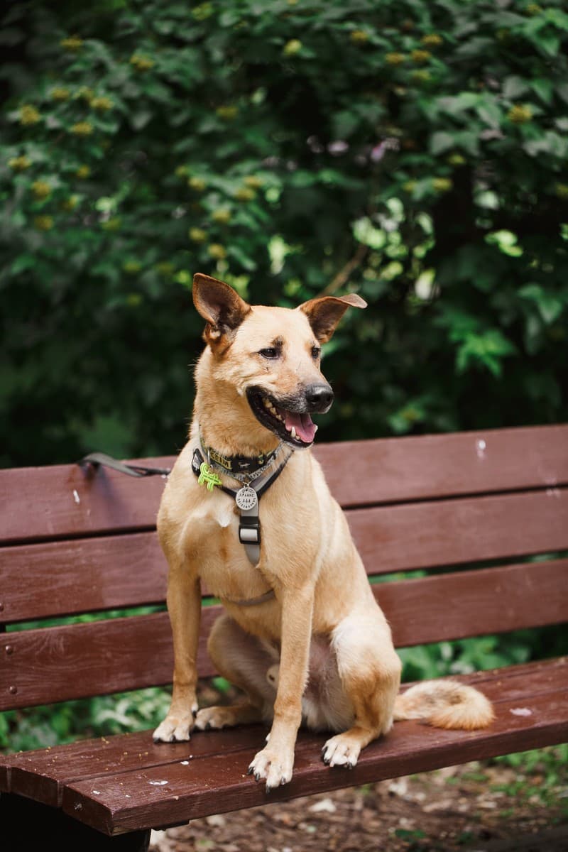 Арамис медиа 9