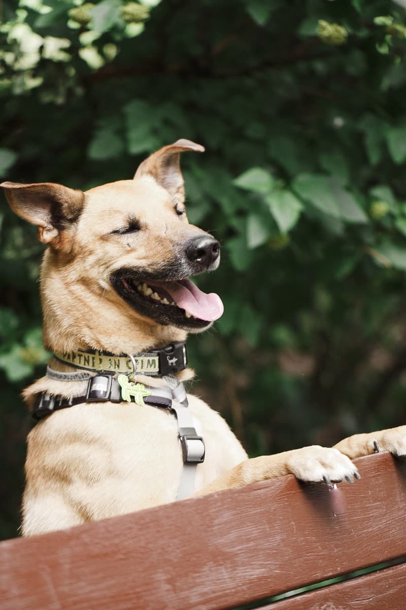 Арамис медиа 6