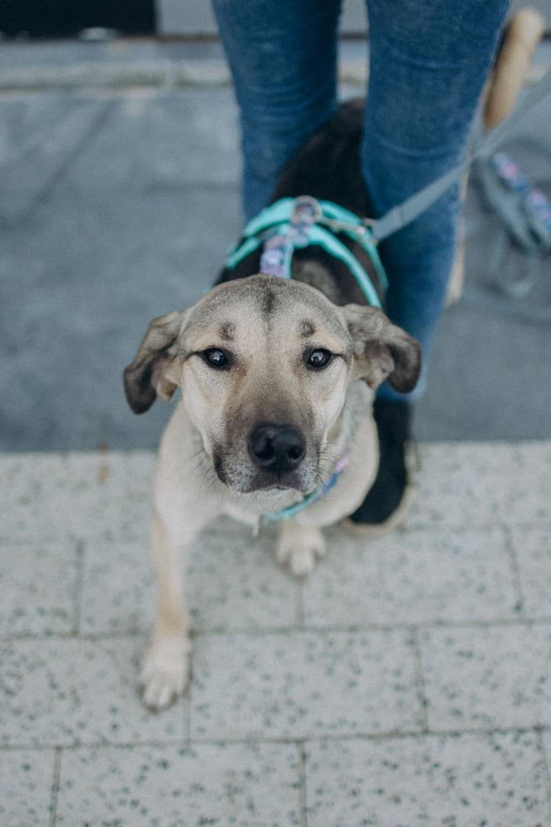 Эсми медиа 10