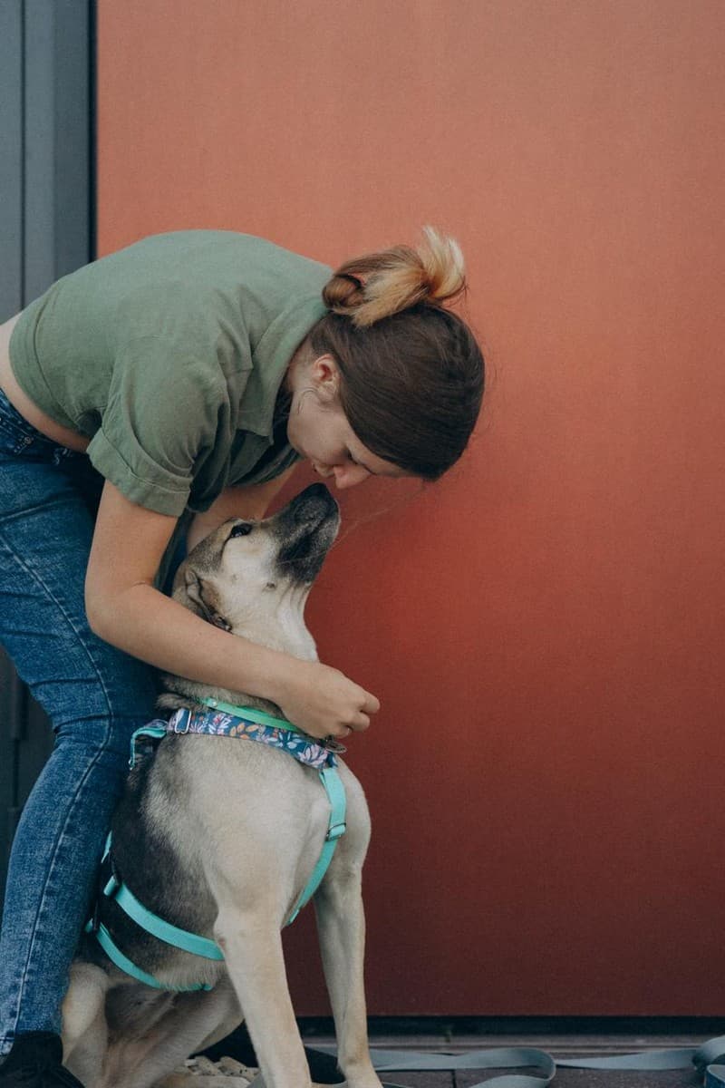 Эсми медиа 8