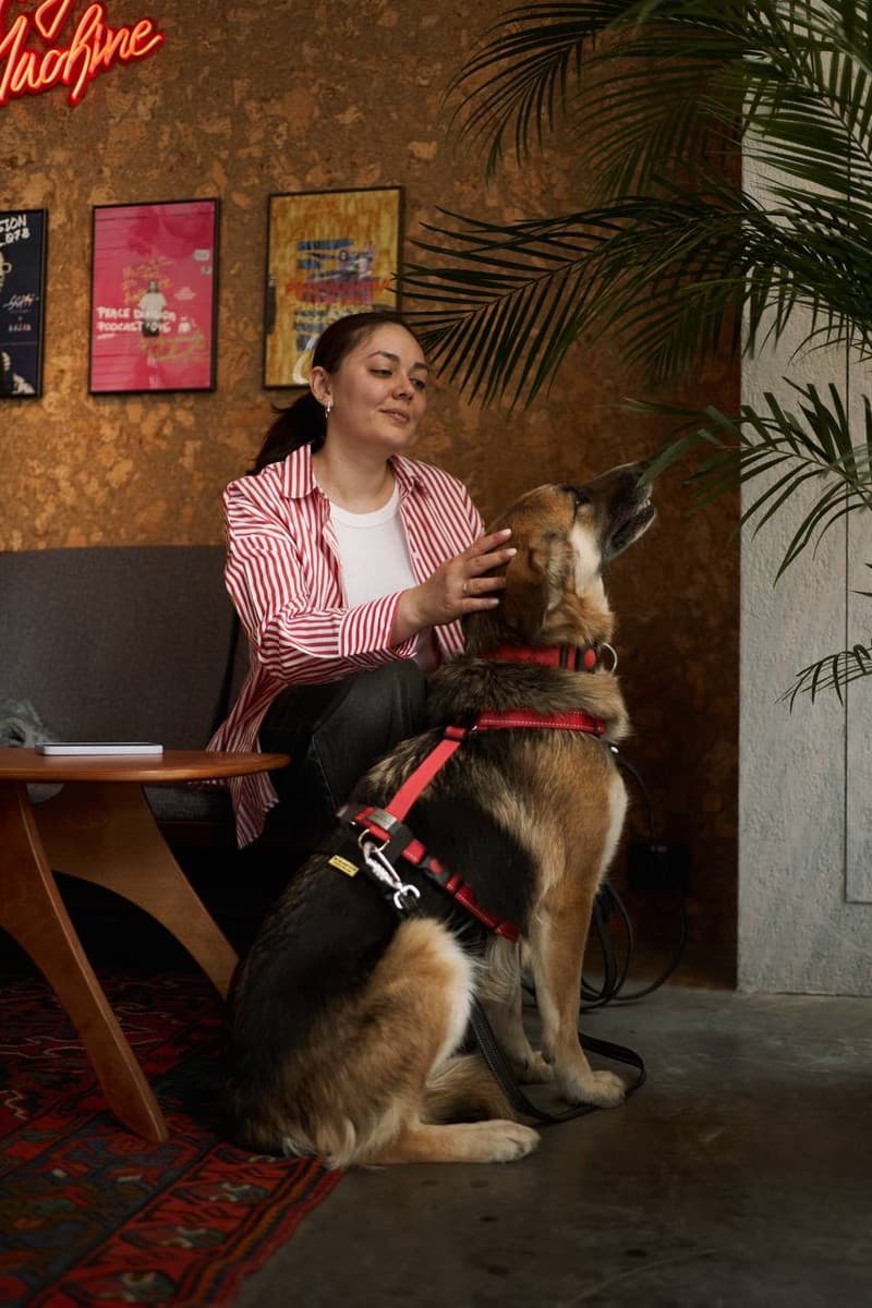 Дина медиа 4