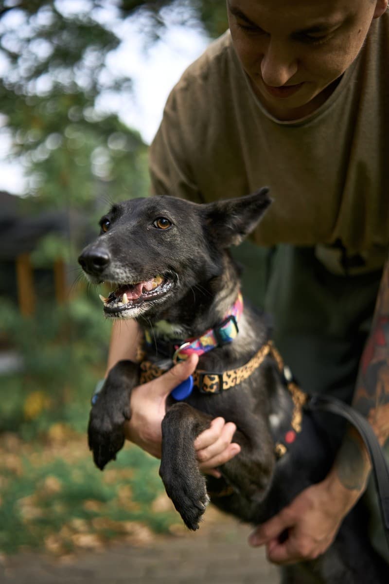 Мятка медиа 3