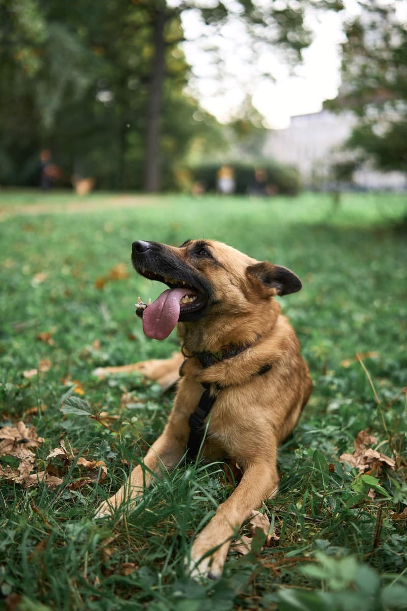 Мэйв медиа 8