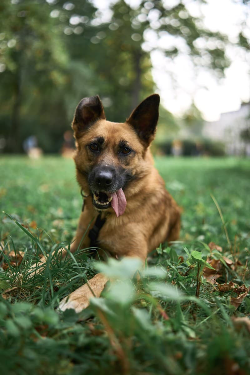 Мэйв медиа 7