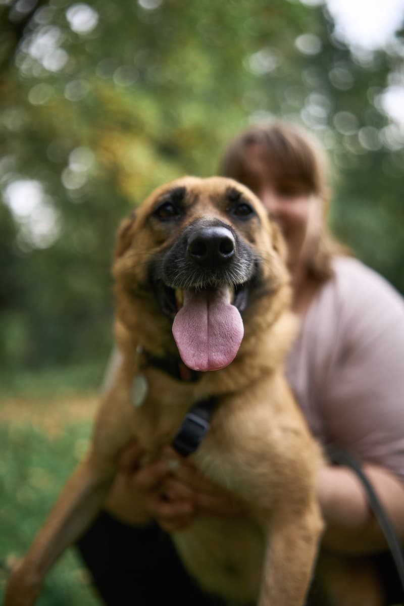 Мэйв медиа 5