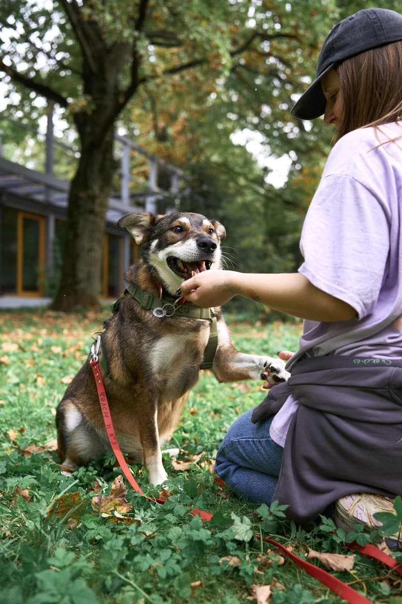 Челси медиа 8