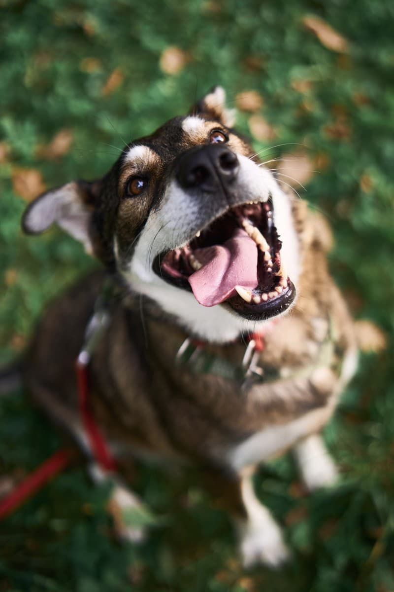 Челси медиа 5