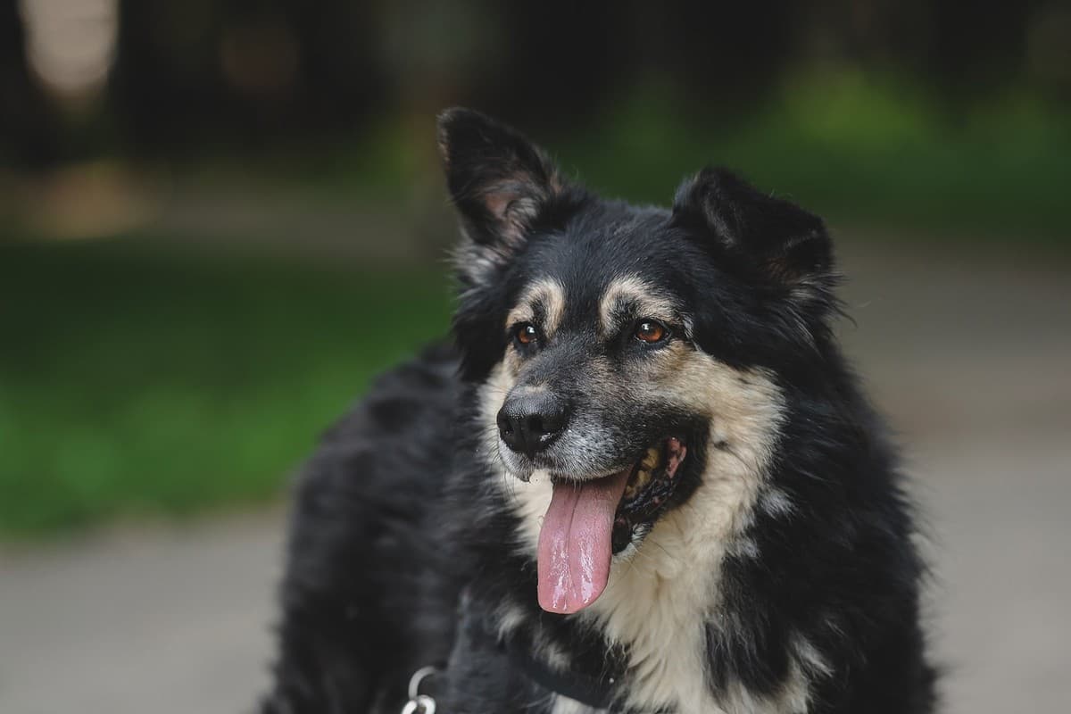 Ленни медиа 3