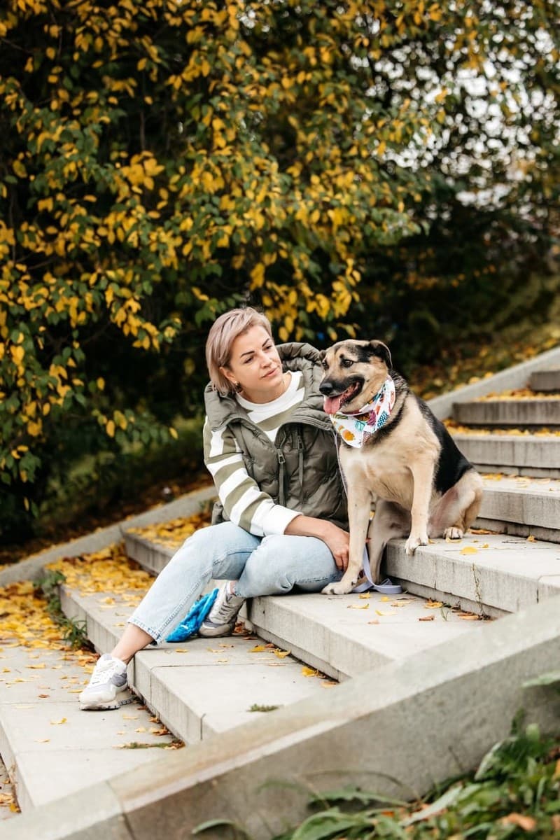 Дэнди медиа 3