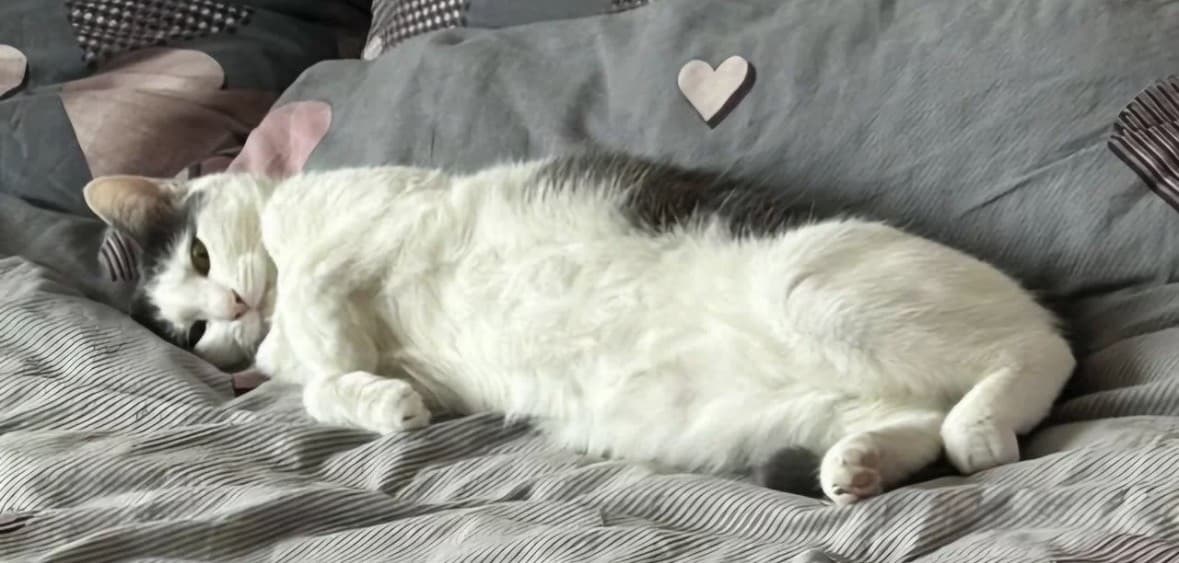 Маруся медиа 2