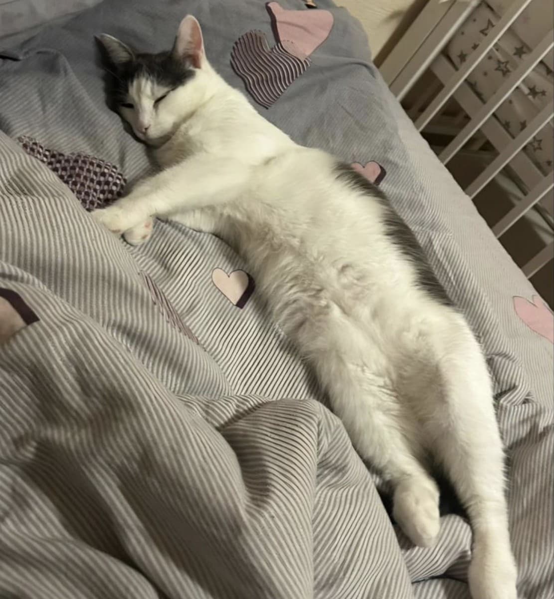 Маруся медиа 3