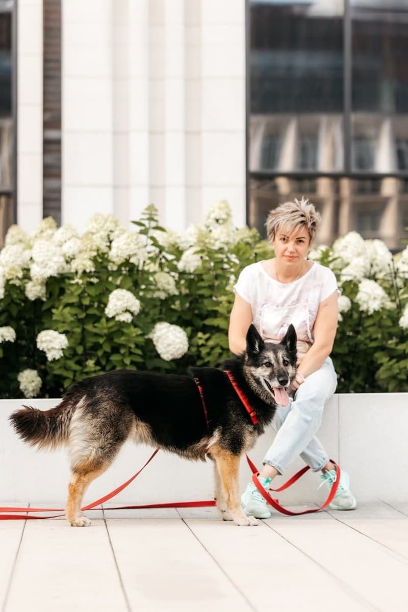 Крис медиа 5