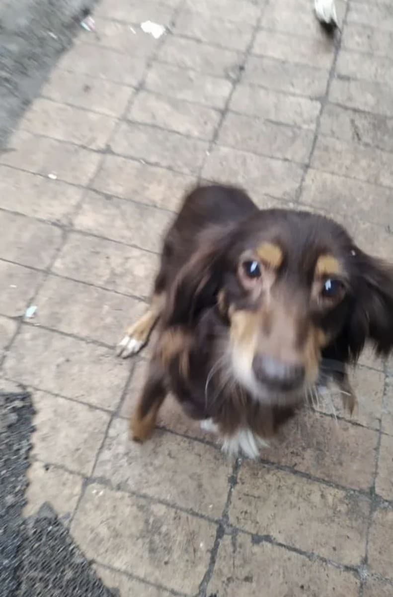 Мона медиа 2