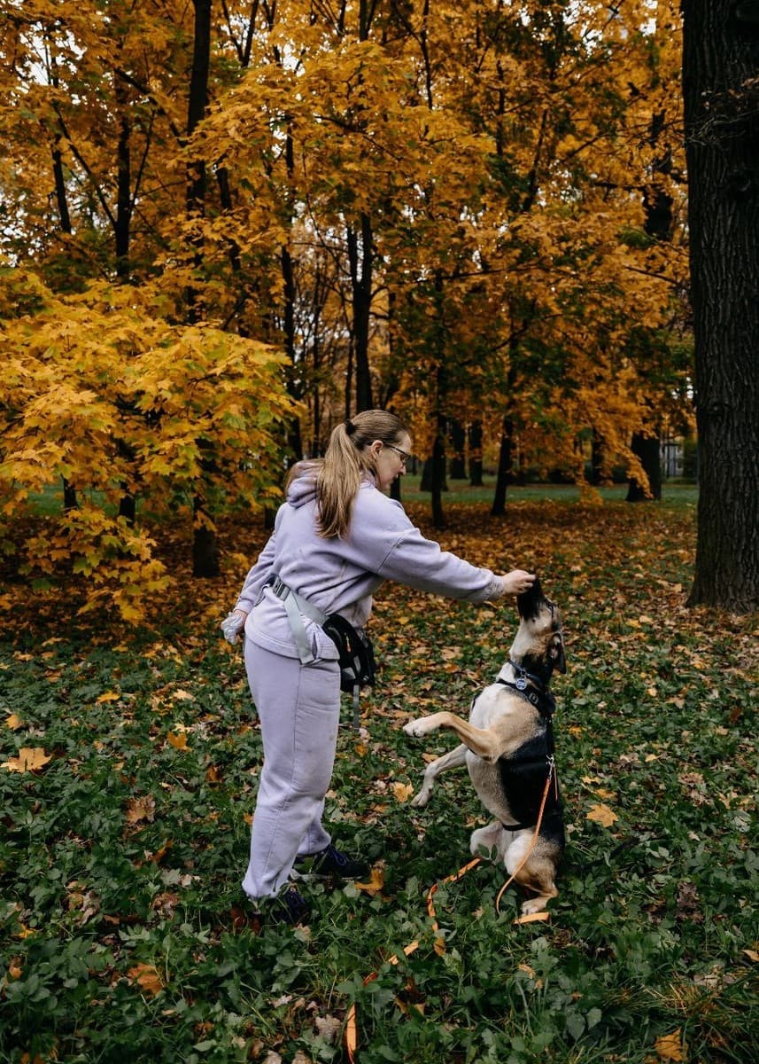 Кора медиа 7