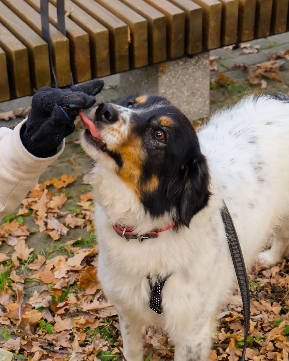 Ника медиа 7