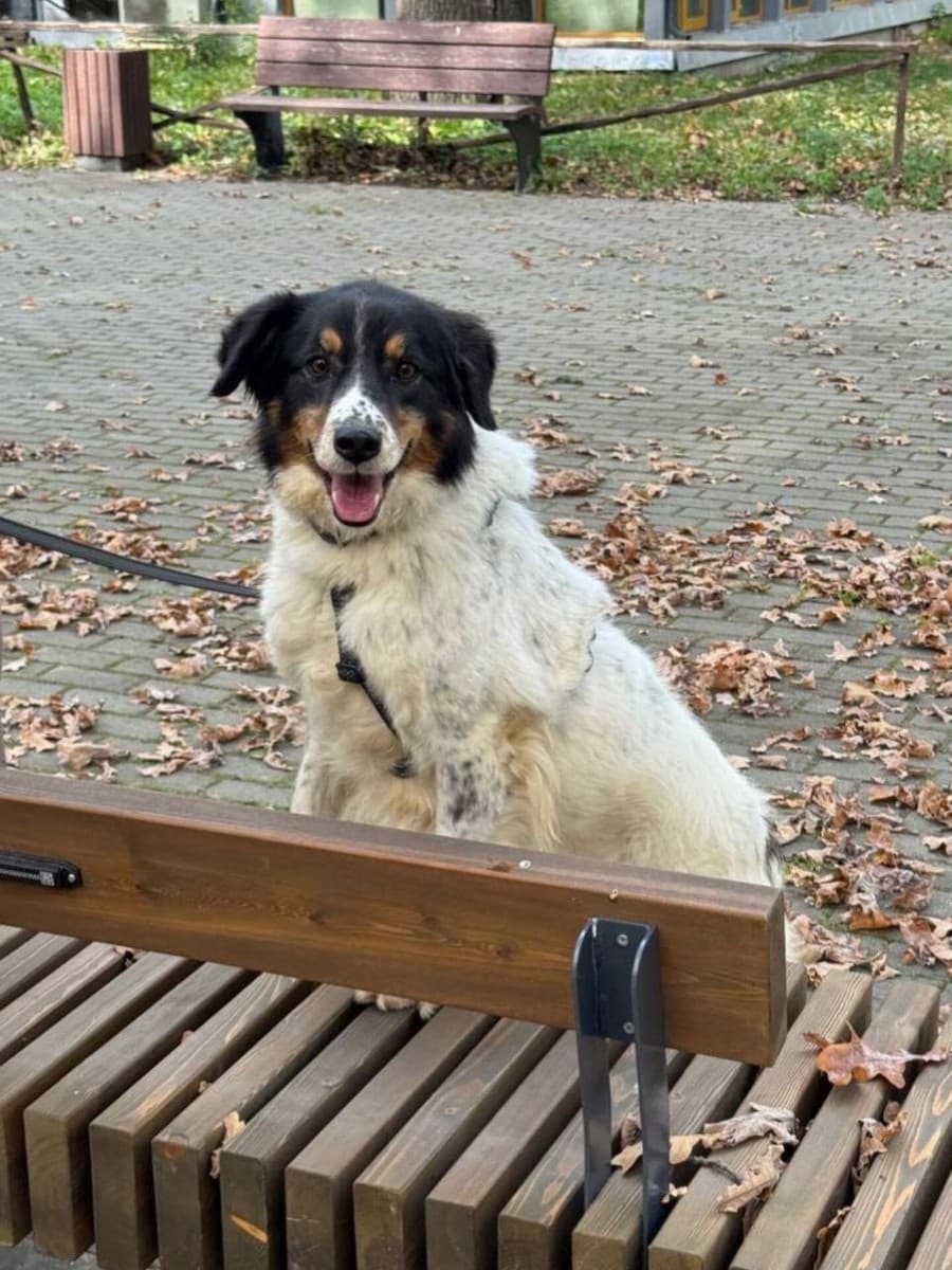 Ника медиа 8