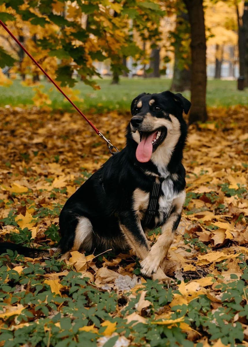 Мирон медиа 2