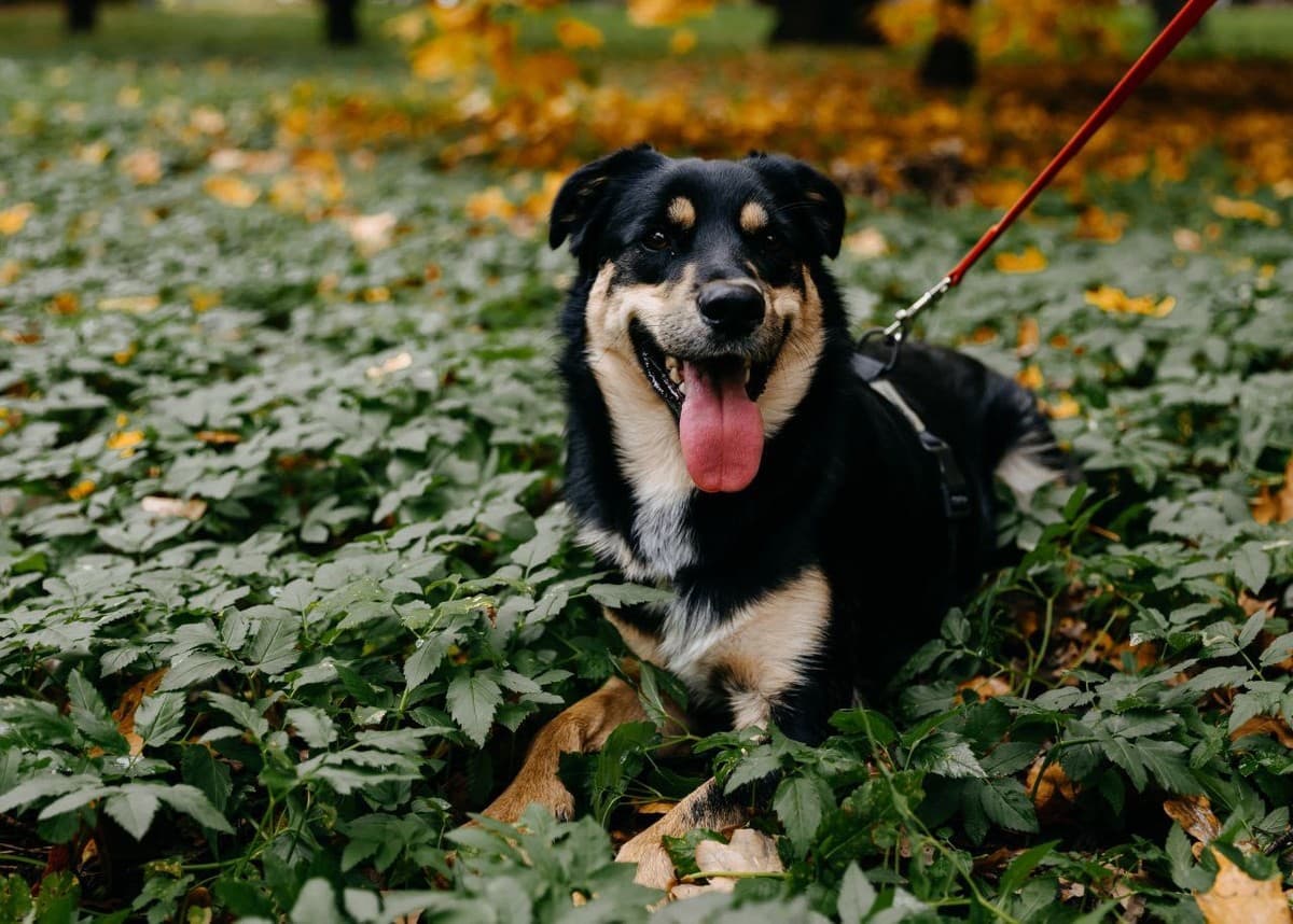 Мирон медиа 3