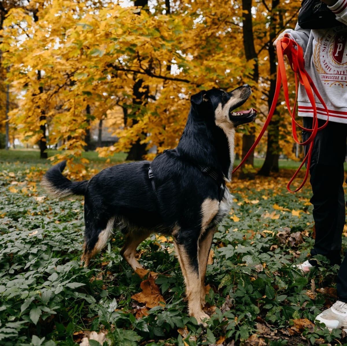 Мирон медиа 4