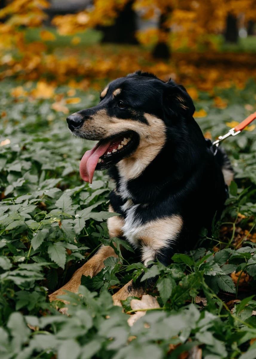 Мирон медиа 7