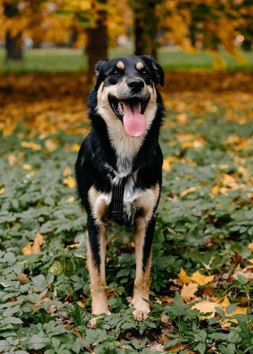 Мирон медиа 5