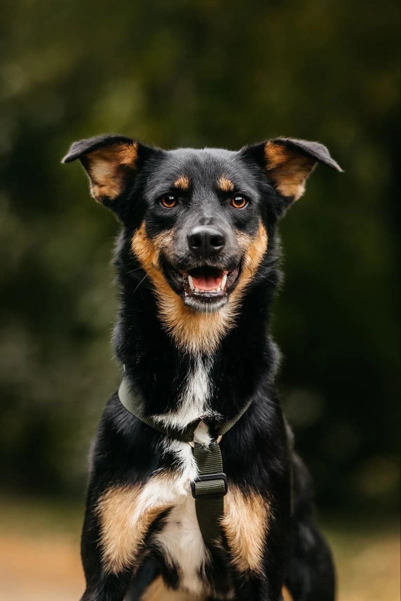 Деймонд медиа 7