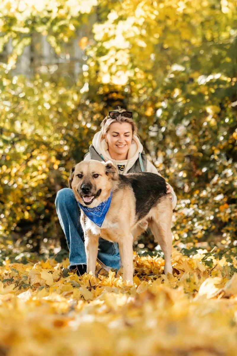 Дынечка медиа 6