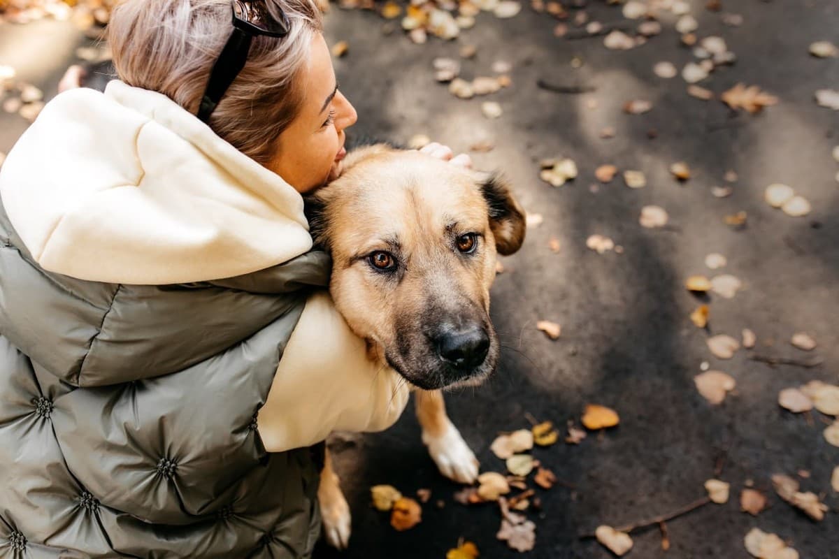 Дынечка медиа 10