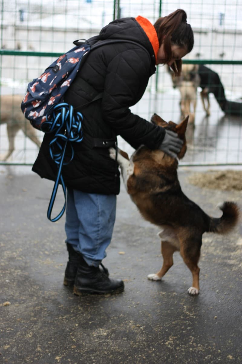 Бориска медиа 5