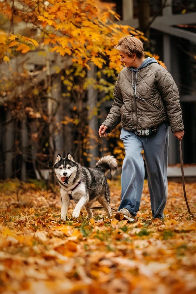 Канзи медиа 9