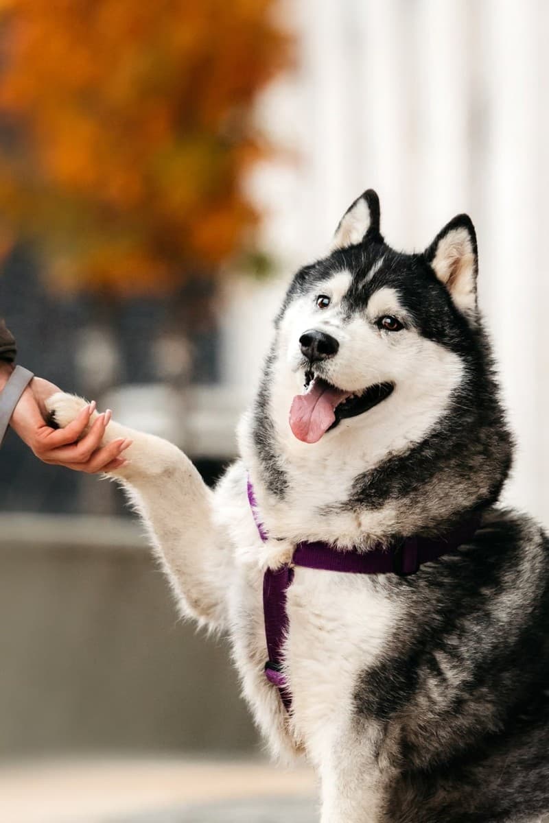 Канзи медиа 3