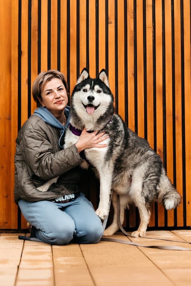 Канзи медиа 5