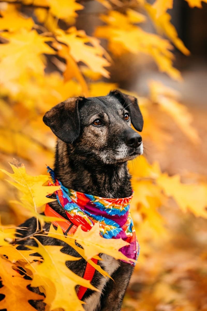 Анита медиа 8