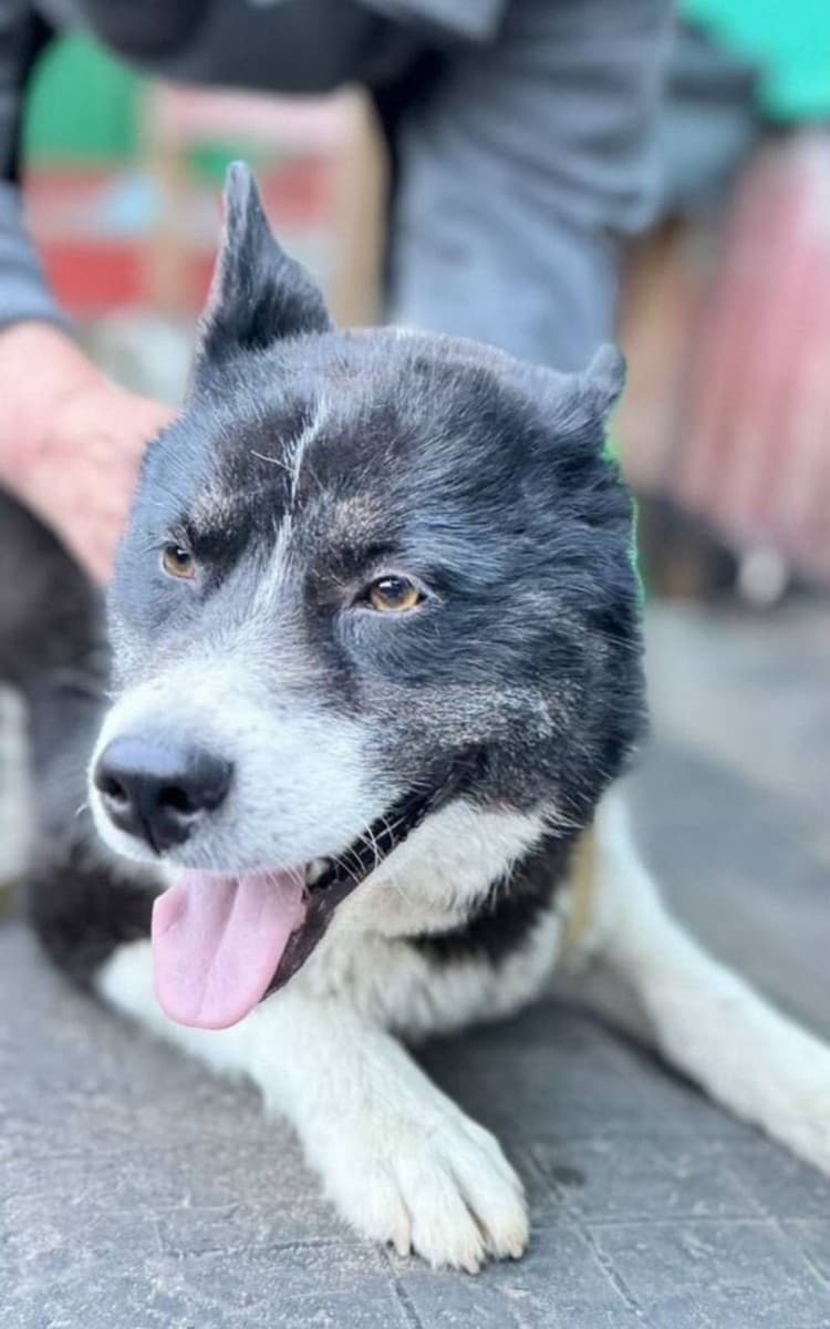 Джек медиа 3