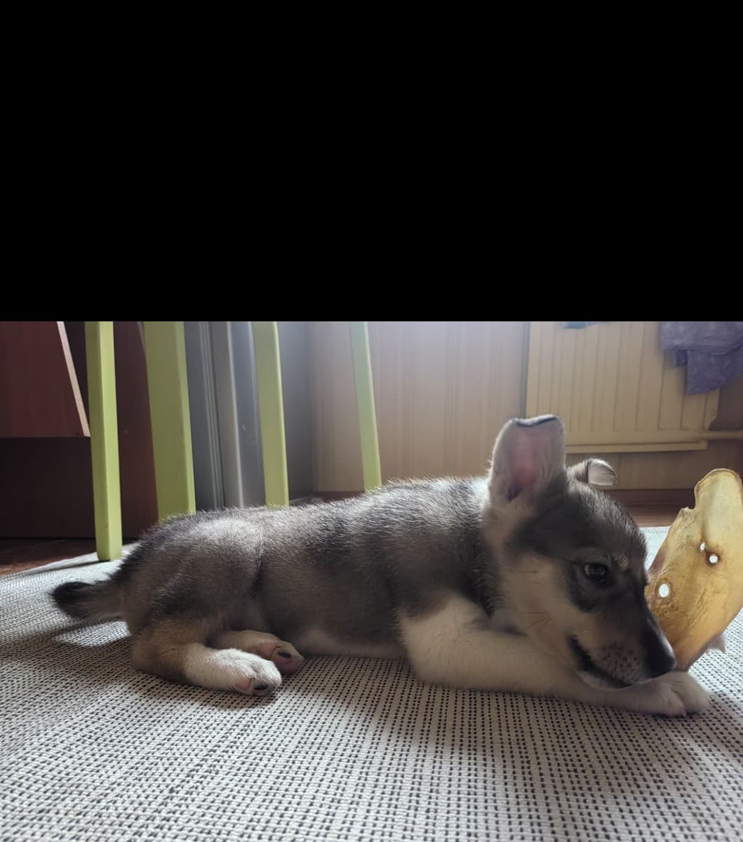 Рокки медиа 2