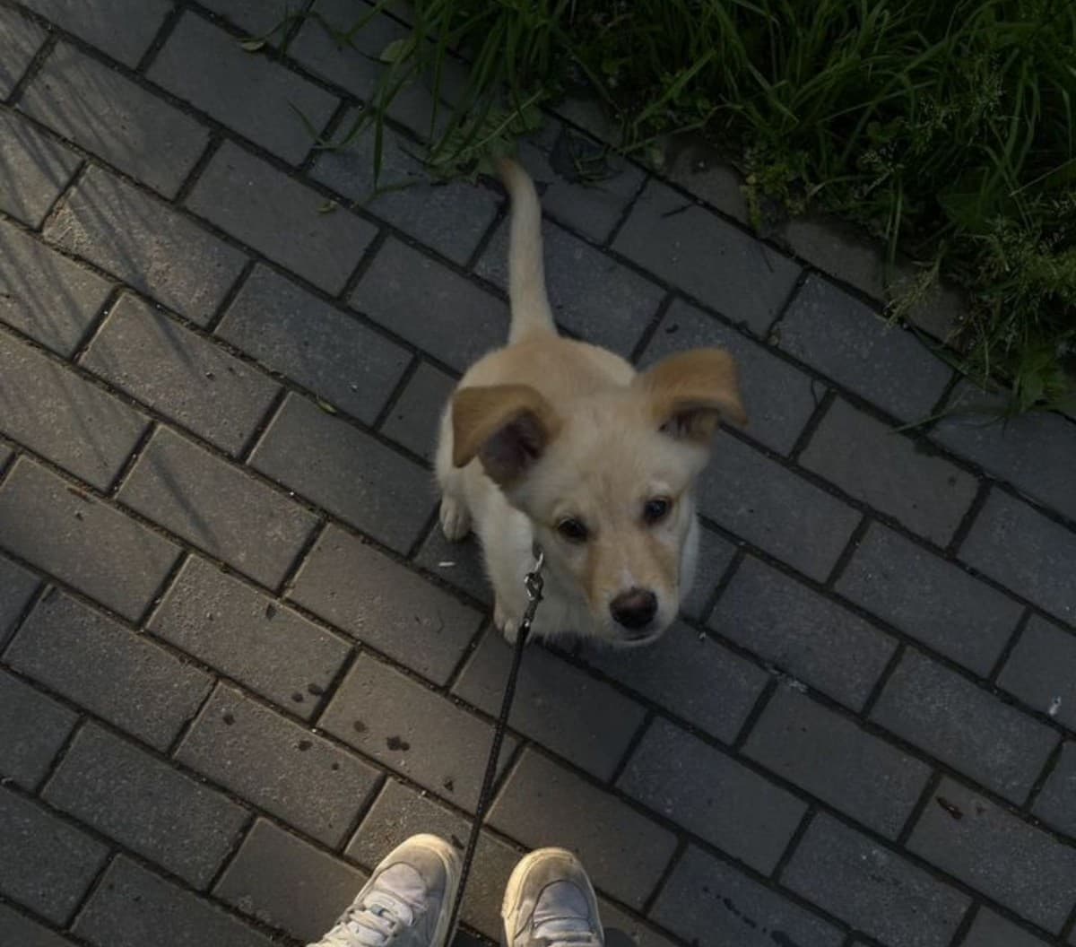 Бумер медиа 2